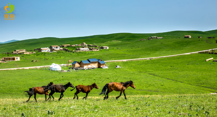 愛在江湖，陪在親情——愛陪供入湘贛地區提供便民服務回顧